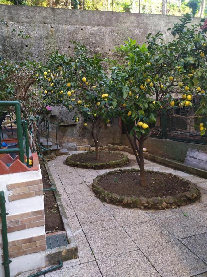 Oparavisegenova 외부 사진